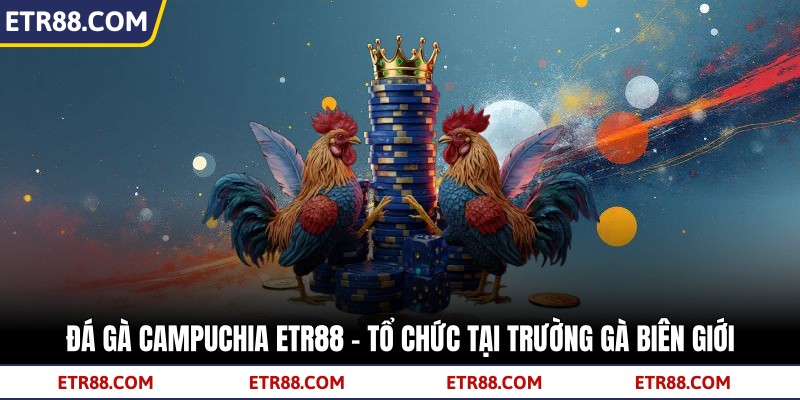 Đá Gà Campuchia TR88 - Tổ Chức Tại Trường Gà Biên Giới