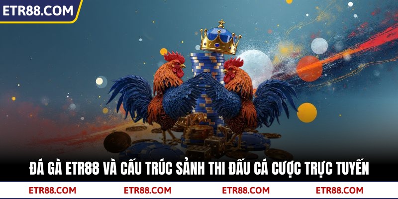 Đá Gà TR88 Và Cấu Trúc Sảnh Thi Đấu Cá Cược Trực Tuyến
