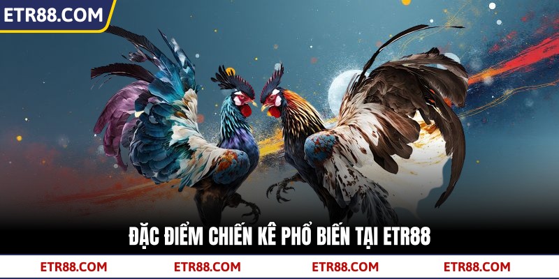 Đặc điểm chiến kê phổ biến tại TR88 Đặc điểm chiến kê phổ biến tại TR88