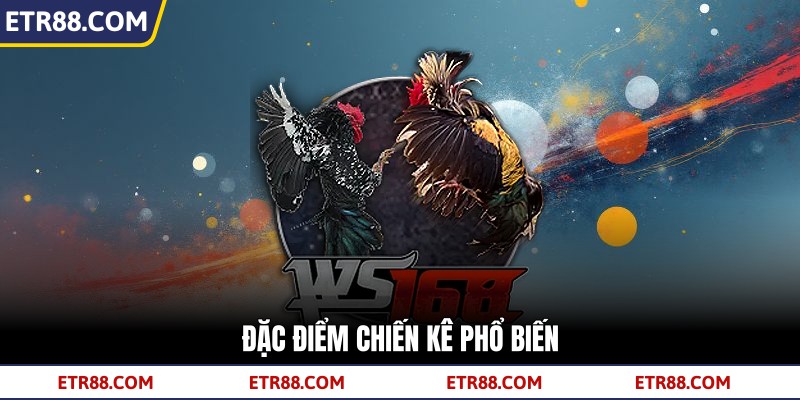 Đặc điểm chiến kê phổ biến Đặc điểm chiến kê phổ biến