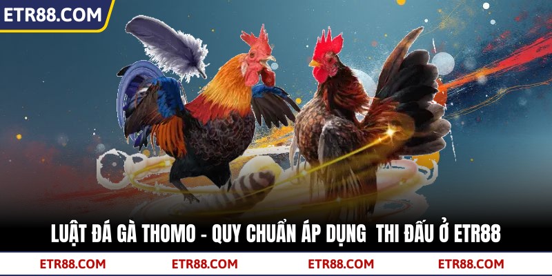 Luật Đá Gà Thomo - Quy Chuẩn Áp Dụng  Thi Đấu Ở TR88