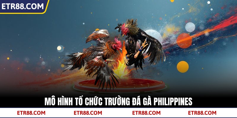 Mô hình tổ chức trường đá gà Philippines Mô hình tổ chức trường đá gà Philippines