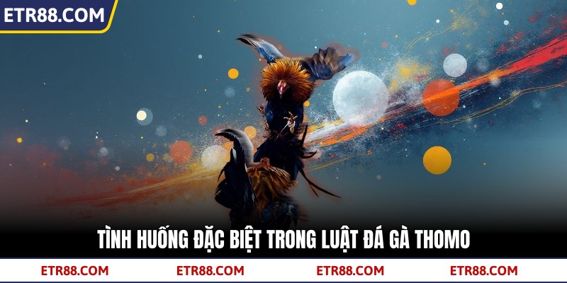  Tình huống đặc biệt trong luật đá gà Thomo